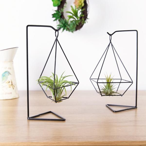 Anasay Air Plant Holder (2 styles)
