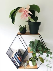 Anasay Hexagon Wall Shelf Planter Stand