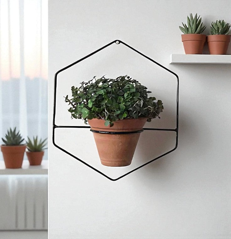 Anasay HexaNest Wall Planter set of 3