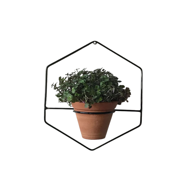 Anasay HexaNest Wall Planter set of 3