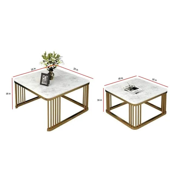 Black & White Coffee Table With Wooden Top Set of 2