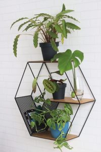 Anasay Hexagon Wall Shelf Planter Stand