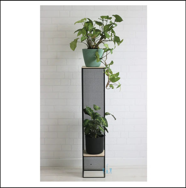 Anasay Lofty Wire Mesh Black Planters