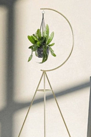Anasay Premium Flower Stand