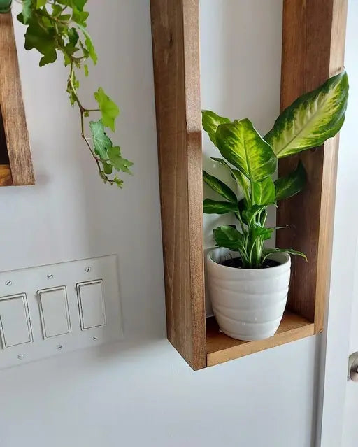 Anasay Rustic Wall-Mounted Wooden Plant Shelves for Home Decor – Indoor Hanging Display Solid Wood with Natural Finish Set of 2