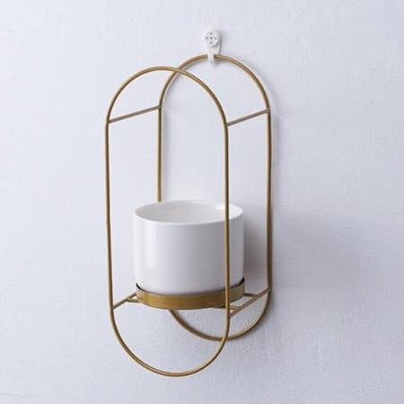 Anasay Unique Lifestyle Wall Hanging flower pot stand