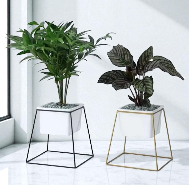 Anasay Minimalist Flower Stand
