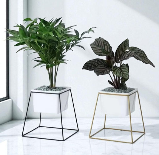 Anasay Minimalist Flower Stand