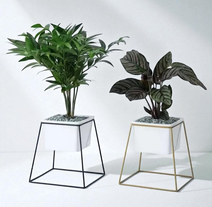 Anasay Minimalist Flower Stand