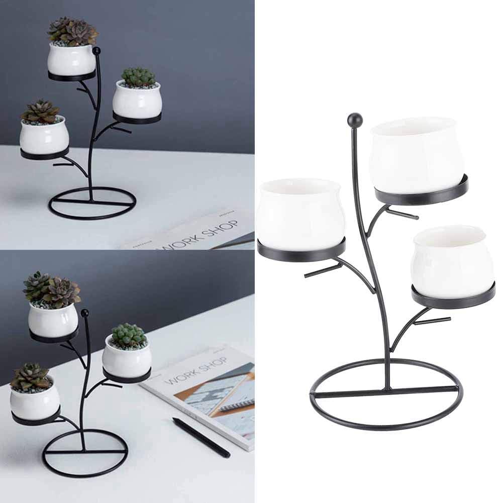 Anasay Plant Stand Combination Home Decoration Flower Pot Plant Display Stand