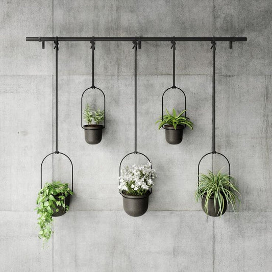 Anasay Triflora Hanging Planter, Set of 5