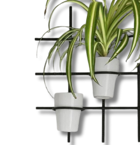 QC Anasay GridBloom Metal Wall Shelving