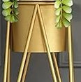 Modern Metal Floor Flower Stands Stand with Planter Set of-2 (Golden)
