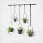 Anasay Triflora Hanging Planter, Set of 5