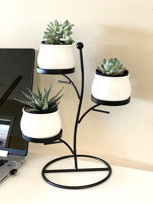 Anasay Plant Stand Combination Home Decoration Flower Pot Plant Display Stand