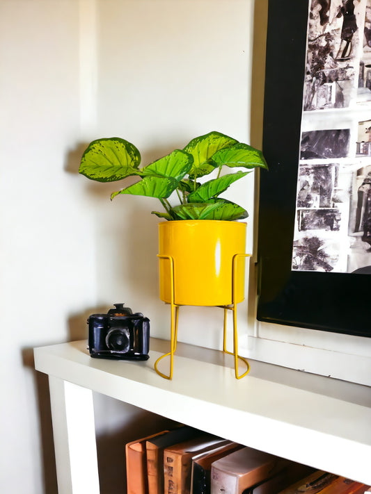 Modern Metal Flower Stands Planter Stand with Planter Pot Yellow Color