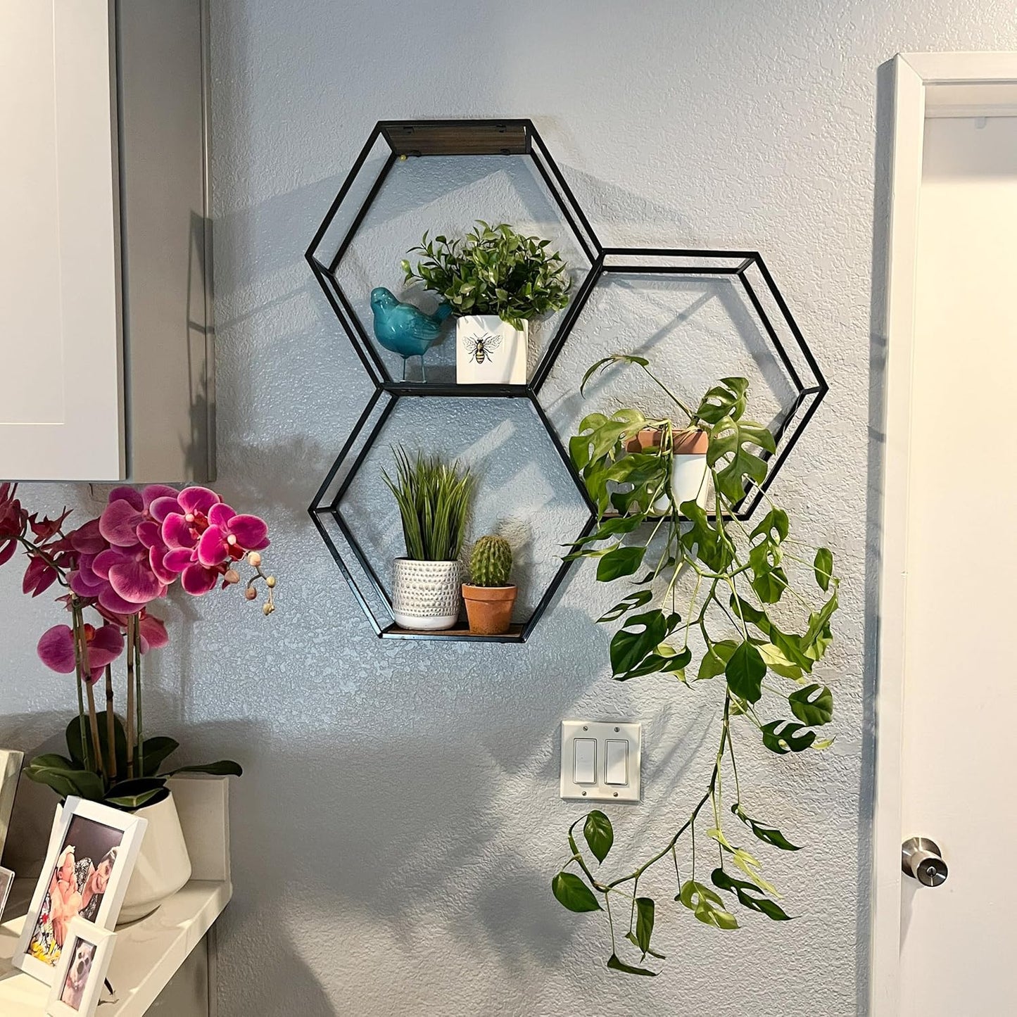 Anasay 3 Tier Floating Shelves Wall Mount Shelf,Shelf for Wall Decor, Display Shelf