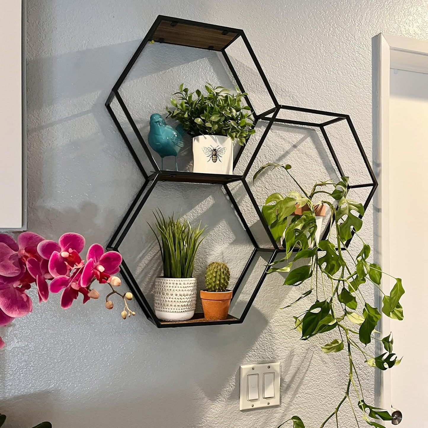 Anasay 3 Tier Floating Shelves Wall Mount Shelf,Shelf for Wall Decor, Display Shelf