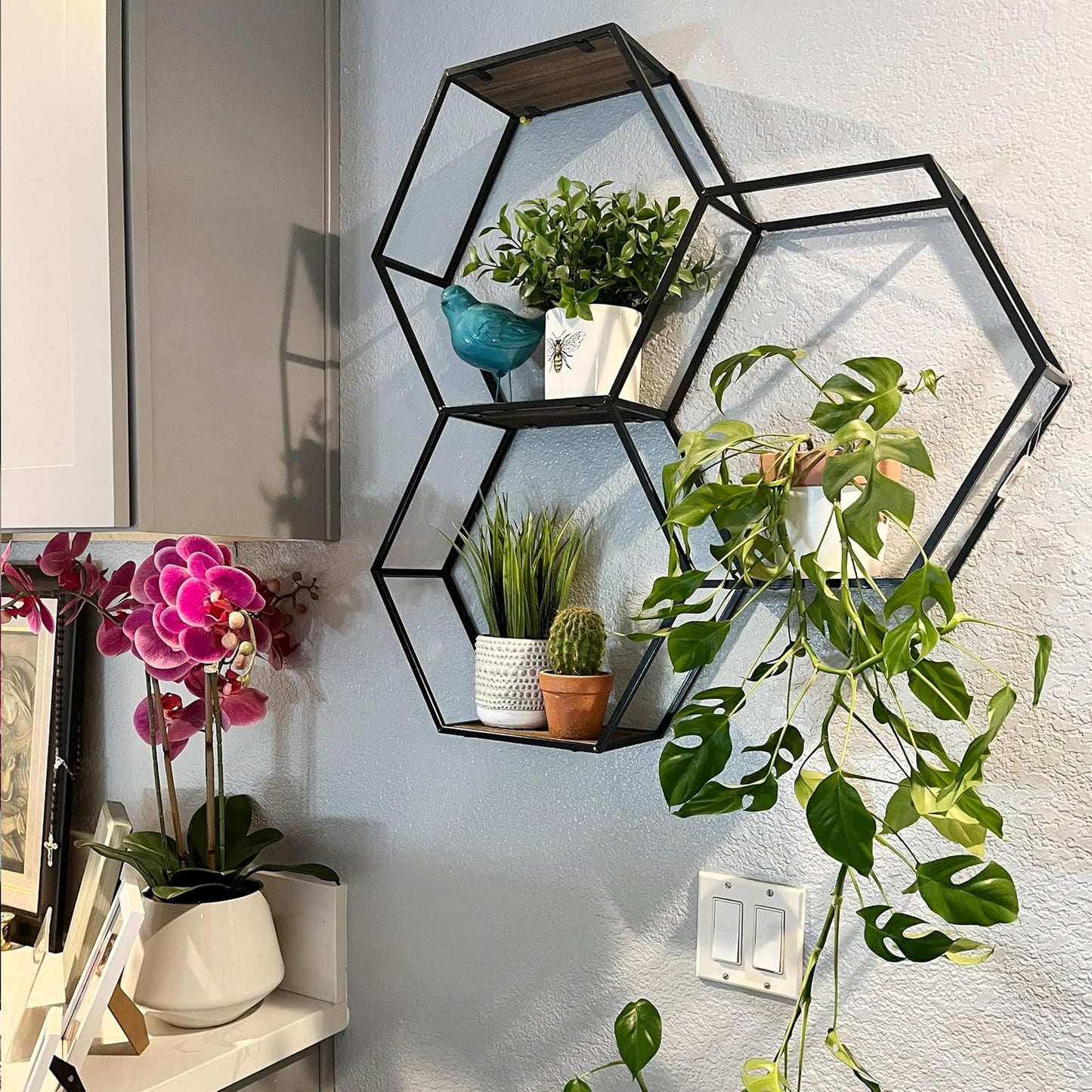 Anasay 3 Tier Floating Shelves Wall Mount Shelf,Shelf for Wall Decor, Display Shelf