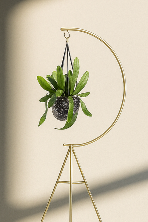 Anasay Premium Flower Stand