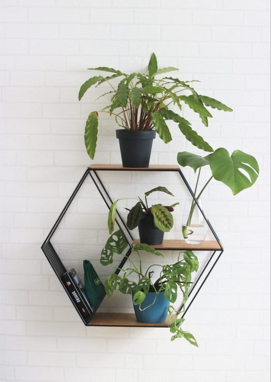 Anasay Hexagon Wall Shelf Planter Stand