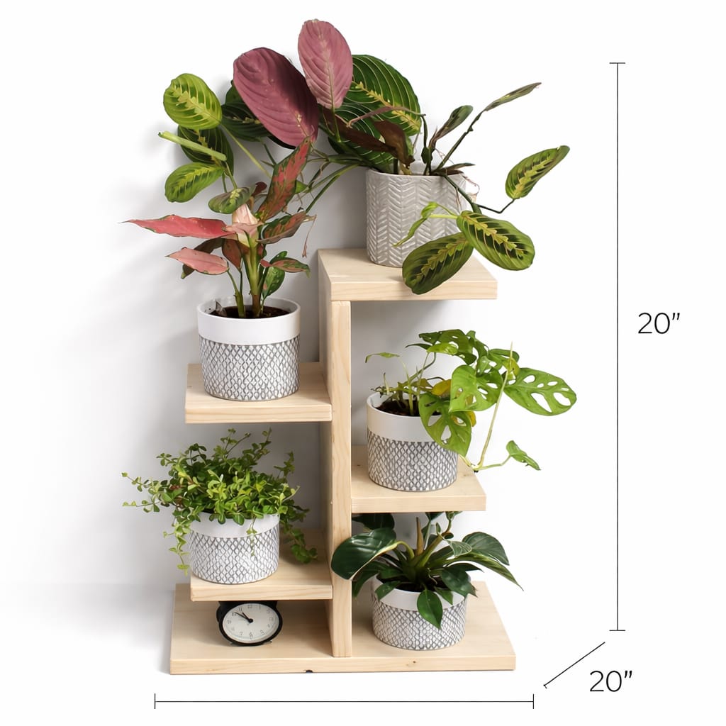 Anasay Modern  Wood Flower Stands