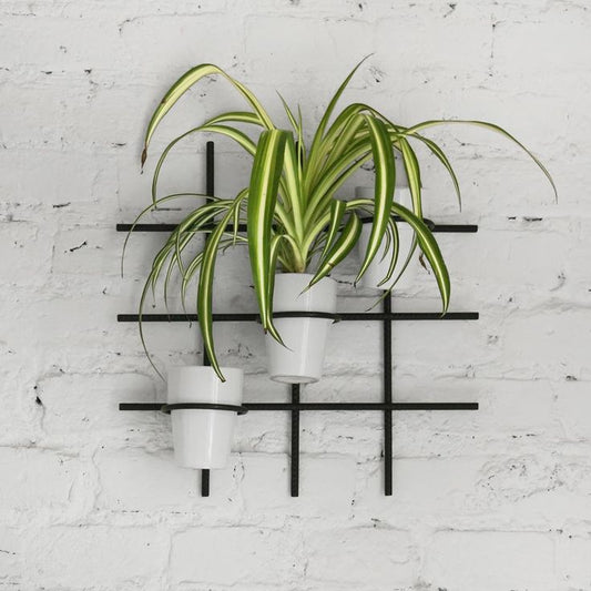 QC Anasay GridBloom Metal Wall Shelving