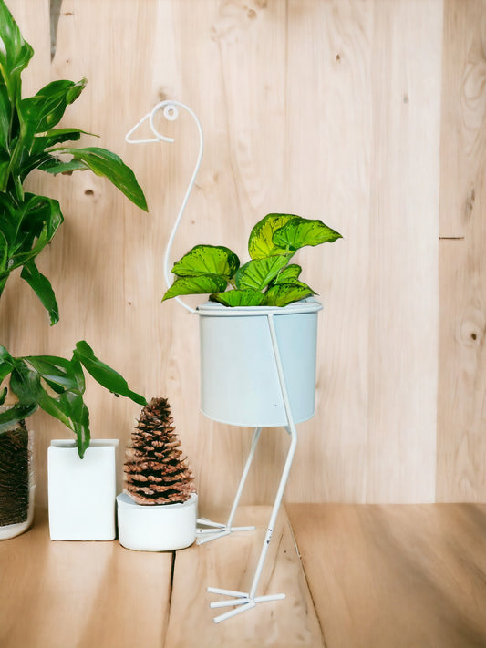 Modern Metal Flower Stands Planter Stand with Planter White Color