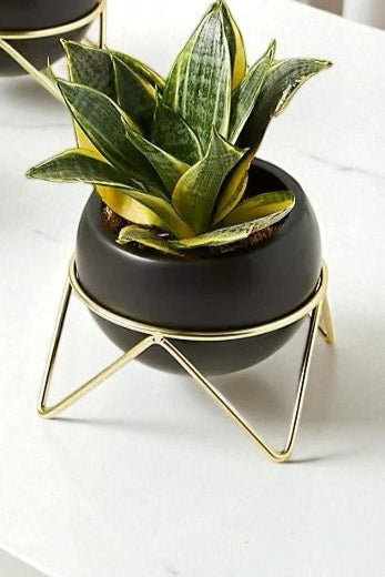 Anasay Elegant Flower Stand Set Of 3