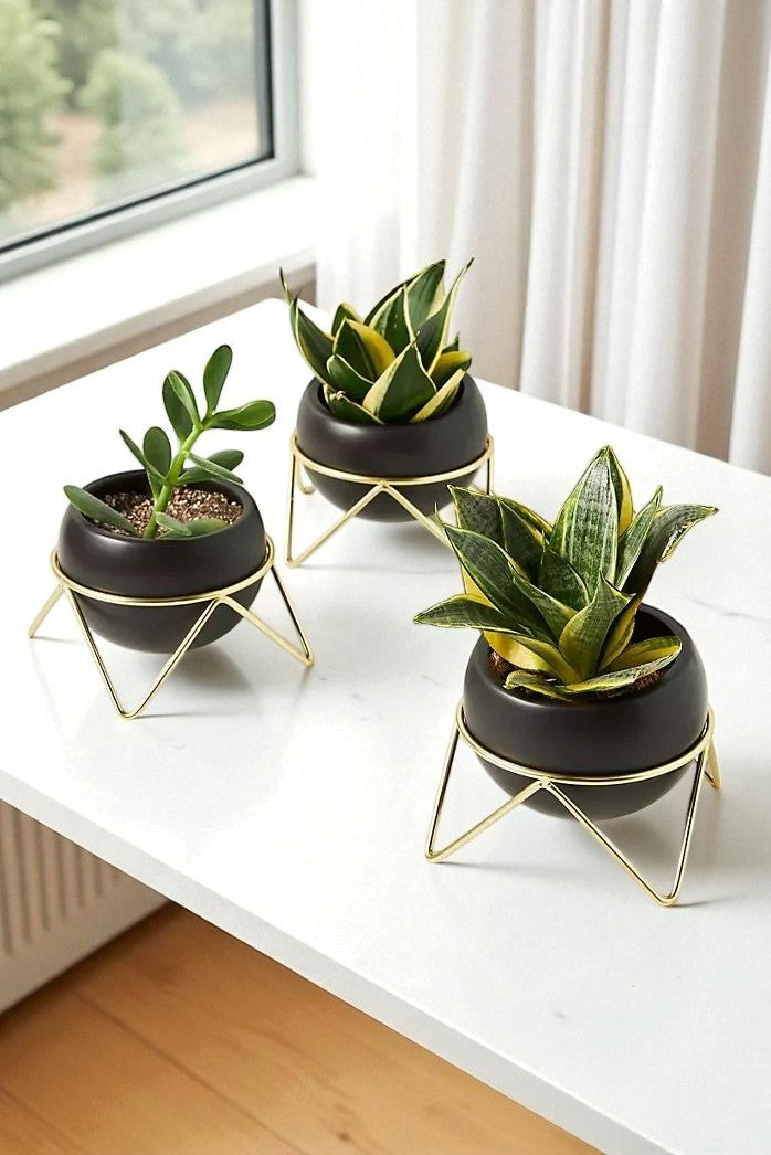 Anasay Elegant Flower Stand Set Of 3