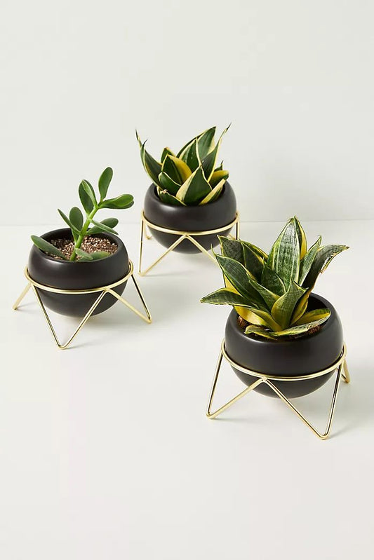 Anasay Elegant Flower Stand Set Of 3