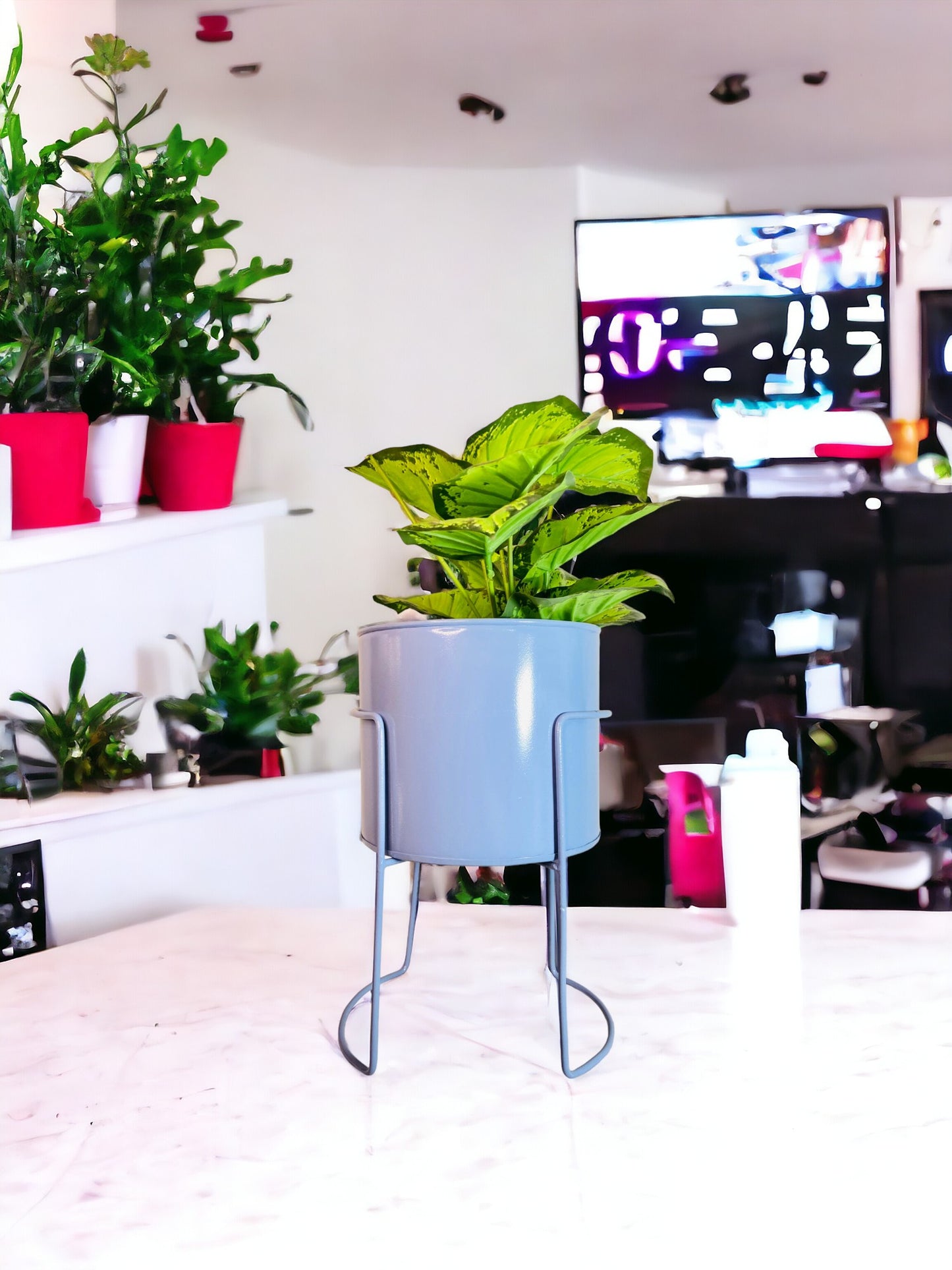 Modern Metal Flower Stands Planter Stand with Planter Blue Color