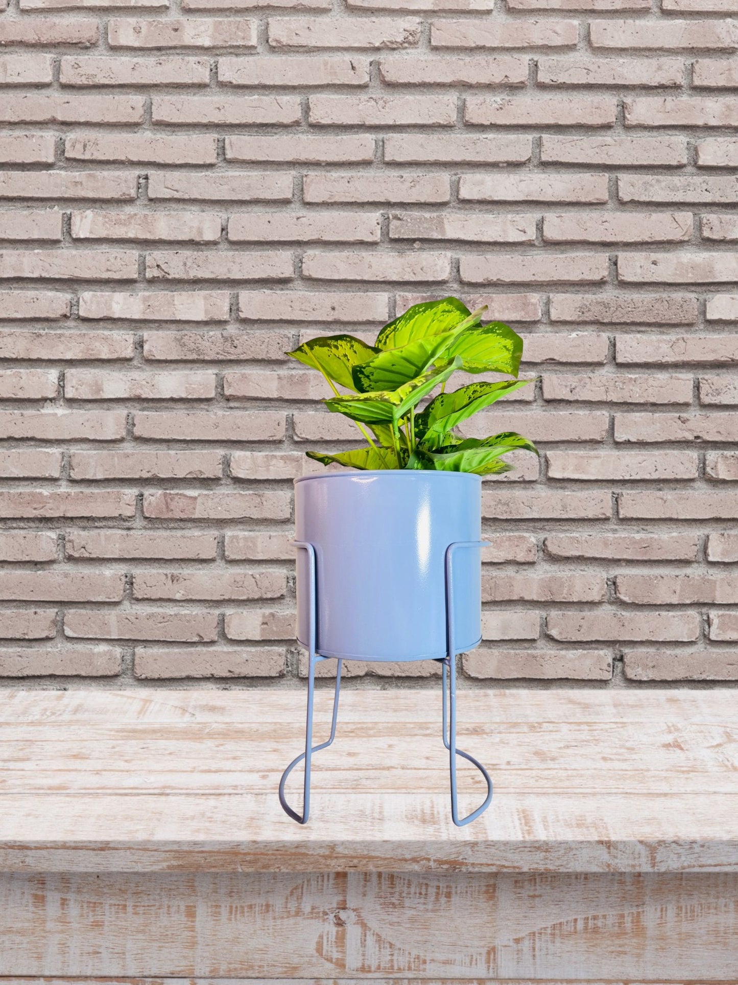 Modern Metal Flower Stands Planter Stand with Planter Blue Color