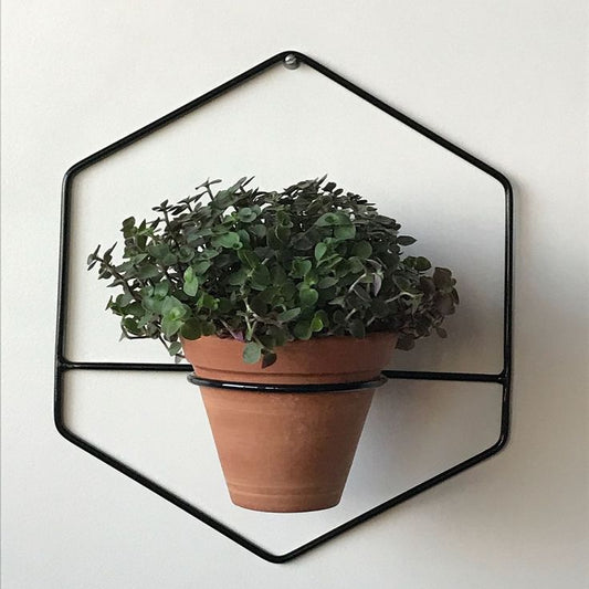 Anasay HexaNest Wall Planter set of 3