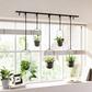 Anasay Triflora Hanging Planter, Set of 5
