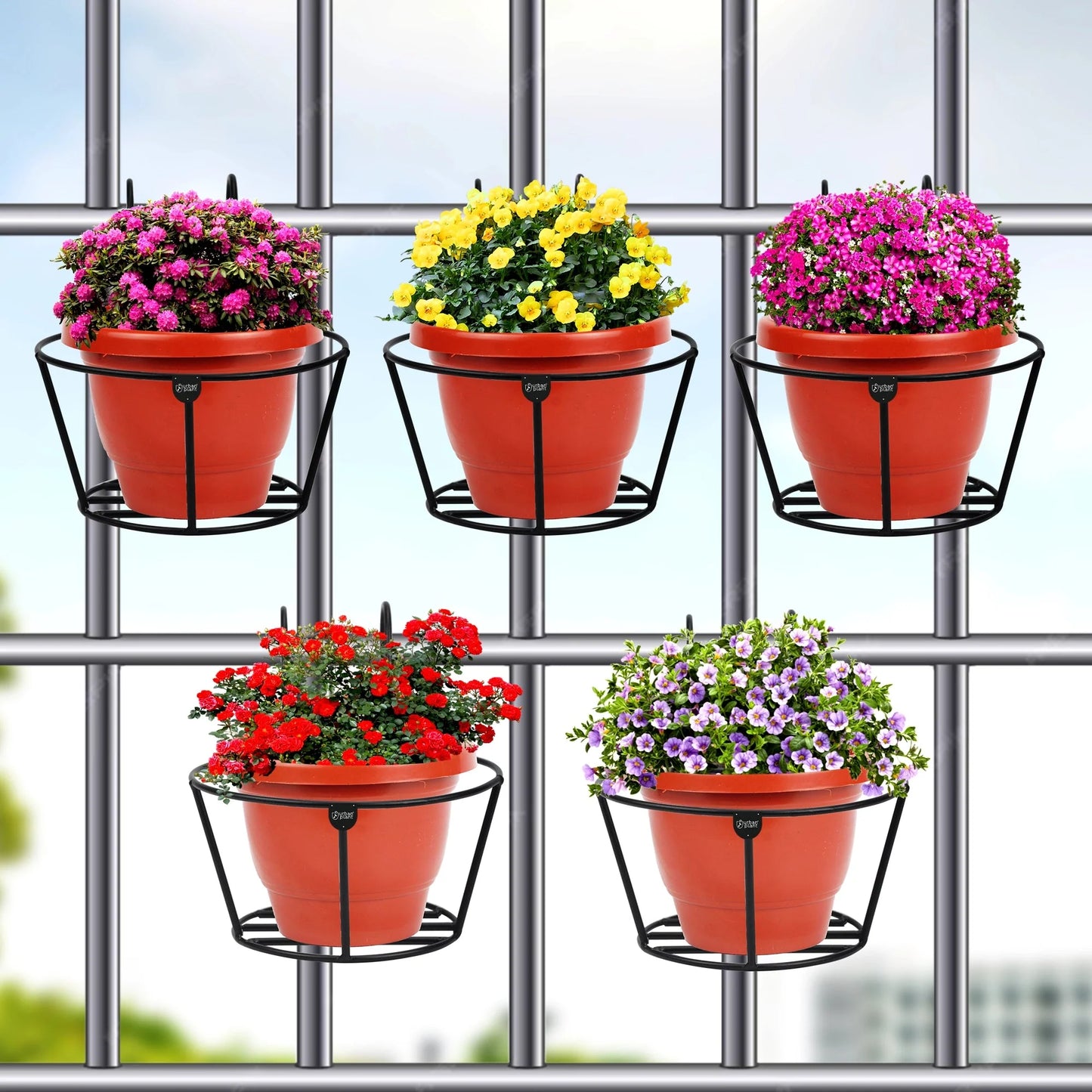 ANASAY Plant Airnest Hanging Flower Pot Holders (Pack of 6)