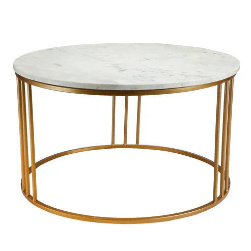 Anasay Luxury Round Marble-Finish Wooden Top Center Table with White Matte Metal Base