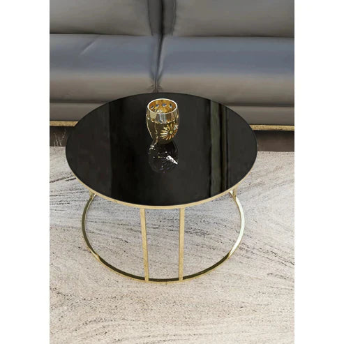 Anasay Black Matte Marble-Finish Wooden Top Center Table
